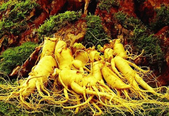 Médicaments naturels contre la puissance